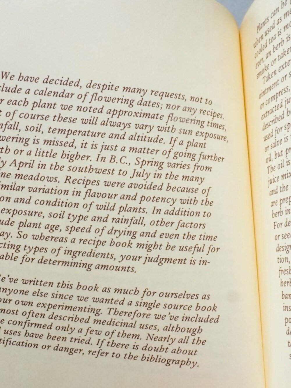 Some Useful Wild Plants - 1973 - David Manning - Vintage Foraging Guide - Picture 11 of 16